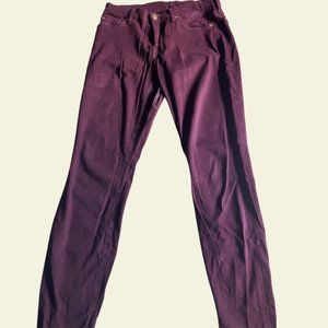 7 For All Mankind Skinny Pants